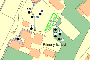 Tree Survey