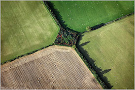 field boundaries 274px
