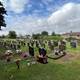 Photo of graves in Ross-on-Wye Cemetery